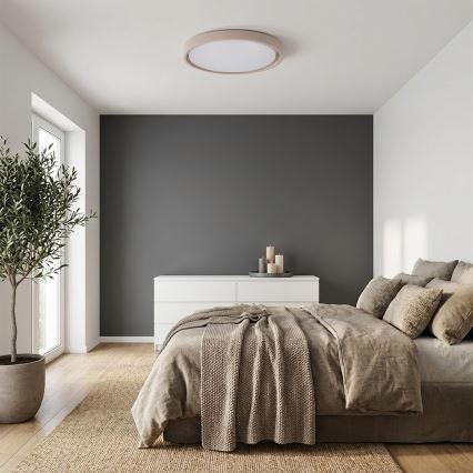 Brilagi - LED dimmelhető mennyezeti lámpa MATTEO LED/60W/230V 3000-6500K átm. 51,5 cm taupe + távirányító