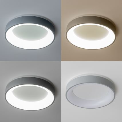 Brilagi - Dimmelhető LED mennyezeti lámpa FALCON LED/80W/230V 3000-6500K átm. 60 cm szürke + távirányító