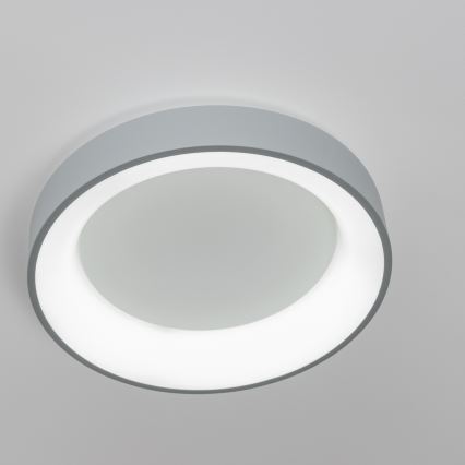 Brilagi - Dimmelhető LED mennyezeti lámpa FALCON LED/80W/230V 3000-6500K átm. 60 cm szürke + távirányító