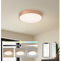 Brilagi - Fényerőszabályozható LED mennyezeti lámpa POOL SMART LED/48W/230V 3000-6000K átm. 40 cm Wi-Fi Tuya bronz színű + távirányítóval
