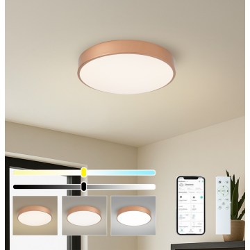 Brilagi - Fényerőszabályozható LED mennyezeti lámpa POOL SMART LED/48W/230V 3000-6000K átm. 40 cm Wi-Fi Tuya bronz színű + távirányítóval