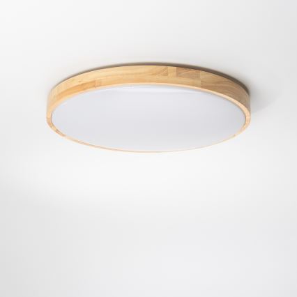 Brilagi - LED Dimmelhető mennyezeti lámpa PINE LED/24W/230V átmérő 42 cm 3000-6500K + távirányító