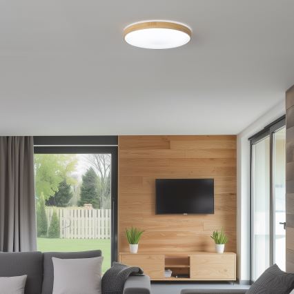 Brilagi - LED Dimmelhető mennyezeti lámpa PINE LED/24W/230V átmérő 42 cm 3000-6500K + távirányító