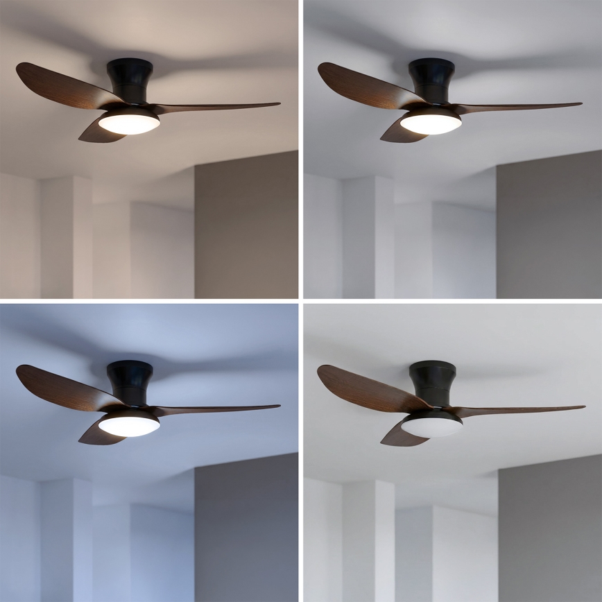 Brilagi - LED-dimmelhető mennyezeti ventilátor LED/38W/230V 3000-6500K Ø 100 cm fekete/barna + távirányító