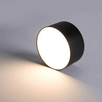 Brilagi - LED fürdőszobai mennyezeti lámpatest FORIS LED/20W/230V átmérő 15 cm fekete IP44