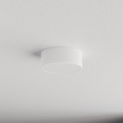 Brilagi - Fürdőszobai mennyezeti lámpa CLARE 1xE27/24W/230V átm. 20 cm IP54 fehér