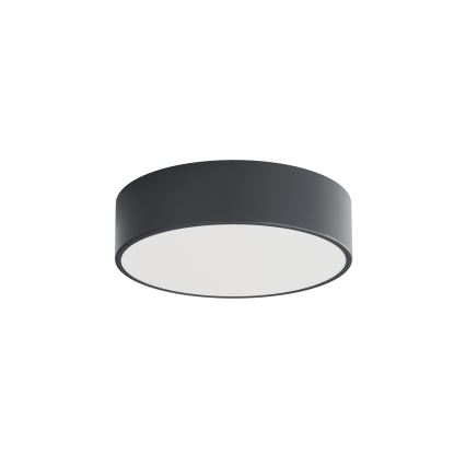 Brilagi - CLARE fürdőszobai mennyezeti lámpatest, 2xE27/24W/230V, Ø 30 cm, antracit, IP54