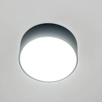 Brilagi - Fürdőszobai mennyezeti lámpa POOL 2xE27/15W/230V átm. 30 cm IP54 fekete