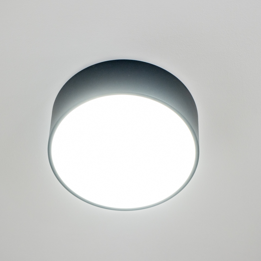 Brilagi - Fürdőszobai mennyezeti lámpa POOL 2xE27/15W/230V átm. 30 cm IP54 fekete