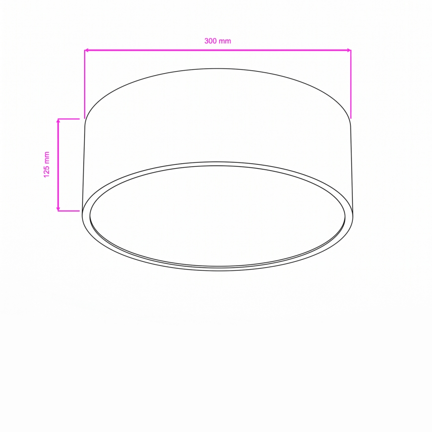 Brilagi - Fürdőszobai mennyezeti lámpa POOL 2xE27/15W/230V átm. 30 cm IP54 fekete