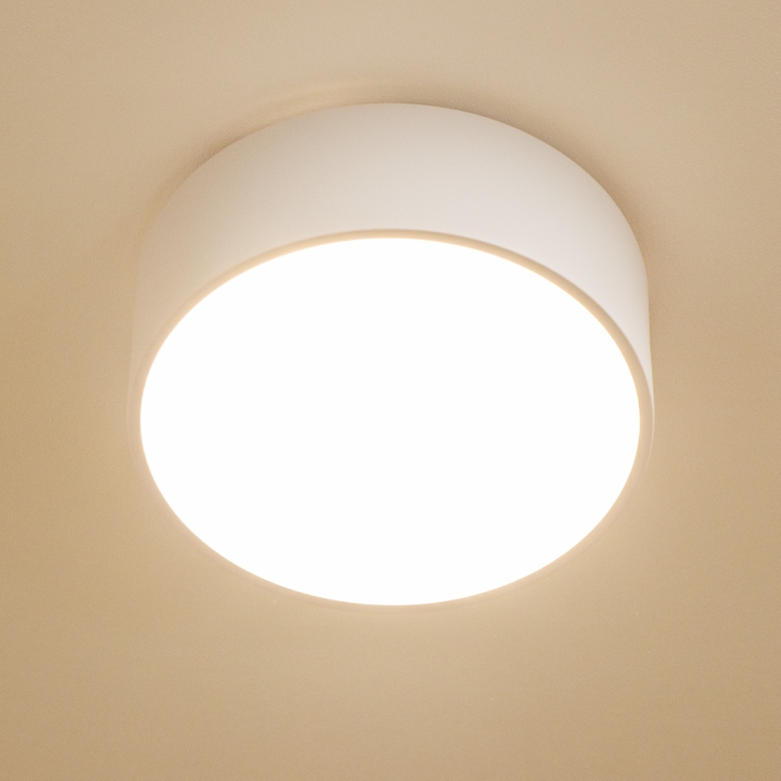Brilagi - Fürdőszobai mennyezeti lámpa POOL 2xE27/15W/230V Ø 30 cm IP54 fehér