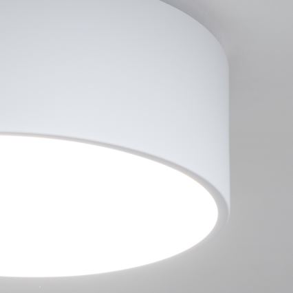 Brilagi - Fürdőszobai mennyezeti lámpa POOL 2xE27/15W/230V Ø 30 cm IP54 fehér