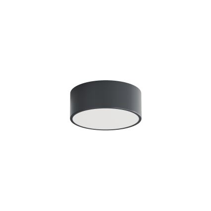 Brilagi - Fürdőszobai mennyezeti lámpatest CLARE 1xE27/24W/230V átm. 20 cm antracit IP54