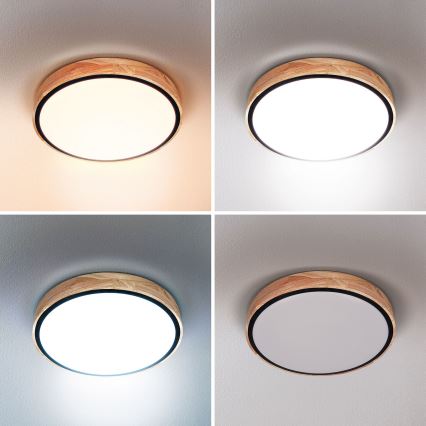 Brilagi - GLORIA LED dimmelhető mennyezeti lámpa 48W/230V 3000-6500K tölgy, átmérő 40 cm + távirányító
