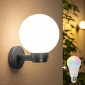 BRILAGI - HARBOR LED RGBW dimmelhető kültéri fali lámpatest 1xE27/12W/230V 2700-6500K IP33 antracit/fehér