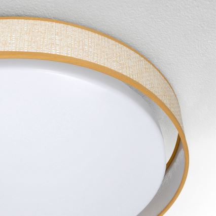Brilagi - LED dimmelhető mennyezeti lámpa KIANIA LED/48W/230V 3000-6500K átm. 43 cm + távirányító