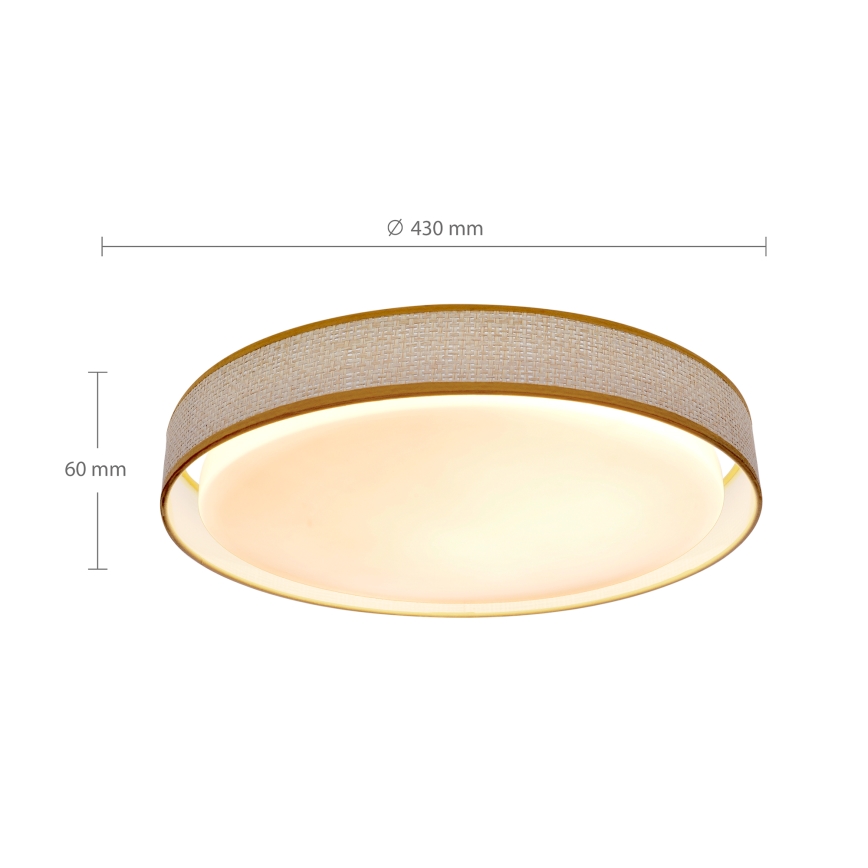 Brilagi - LED dimmelhető mennyezeti lámpa KIANIA LED/48W/230V 3000-6500K átm. 43 cm + távirányító