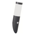 Brilagi - Kültéri fali lámpa mozgásérzékelővel ELIA 1xE27/20W/230V IP44 antracit