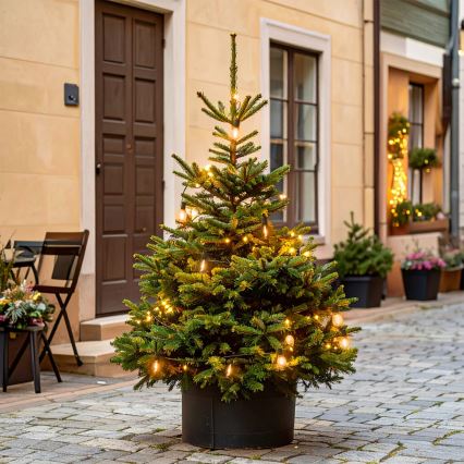 Brilagi - kültéri karácsonyi LED girland 10xLED/3xAA 3,2m IP44 meleg fehér