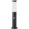 Brilagi - Kültéri lámpa mozgásérzékelővel ELIA 1xE27/20W/230V IP44 50 cm antracit