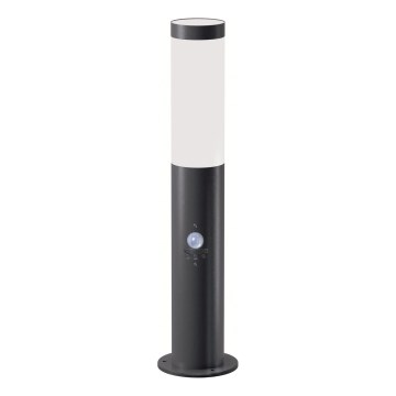 Brilagi - Kültéri lámpa mozgásérzékelővel ELIA 1xE27/20W/230V IP44 50 cm antracit