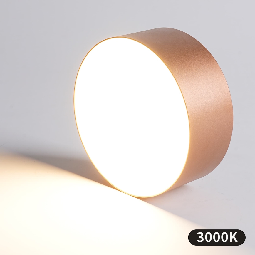 BRILAGI - Kültéri mennyezeti lámpa FORIS LED/20W/230V átmérő 15 cm bronz IP44
