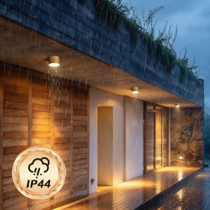 BRILAGI - Kültéri mennyezeti lámpatest FORIS LED/9W/230V, átmérő 9 cm, arany, IP44