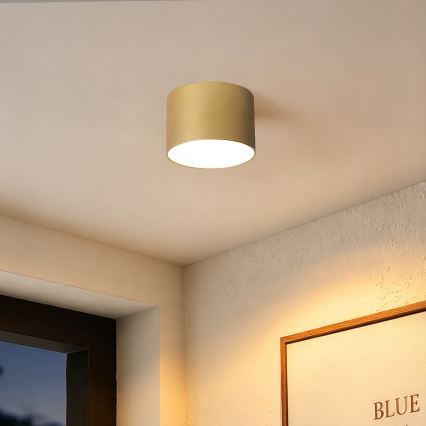 BRILAGI - Kültéri mennyezeti lámpatest FORIS LED/9W/230V, átmérő 9 cm, arany, IP44