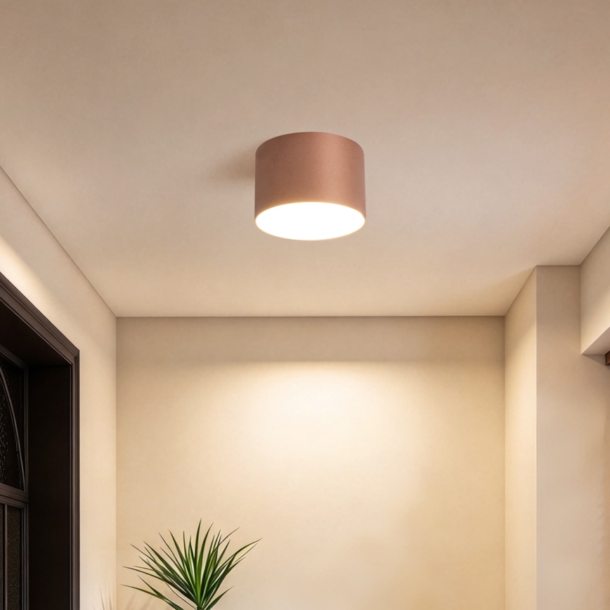 BRILAGI - Kültéri mennyezeti lámpatest FORIS LED/9W/230V Ø 9 cm bronzszínű IP44
