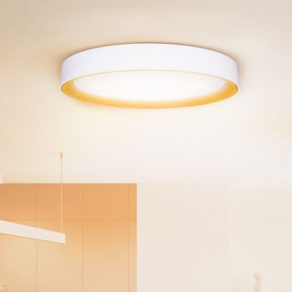Brilagi - LED dimmelhető mennyezeti lámpatest LARIOS LED/72W/230V 3000-6500K fehér átm. 59 cm + távirányító