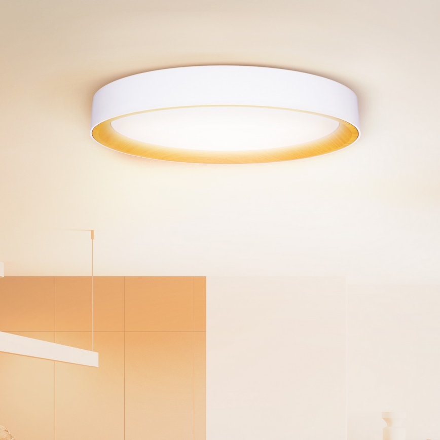 Brilagi - LED dimmelhető mennyezeti lámpatest LARIOS LED/72W/230V 3000-6500K fehér átm. 59 cm + távirányító