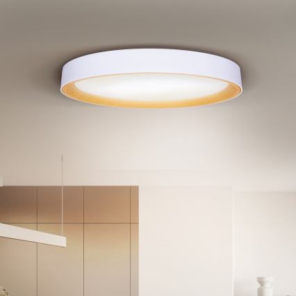 Brilagi - LED dimmelhető mennyezeti lámpatest LARIOS LED/72W/230V 3000-6500K fehér átm. 59 cm + távirányító