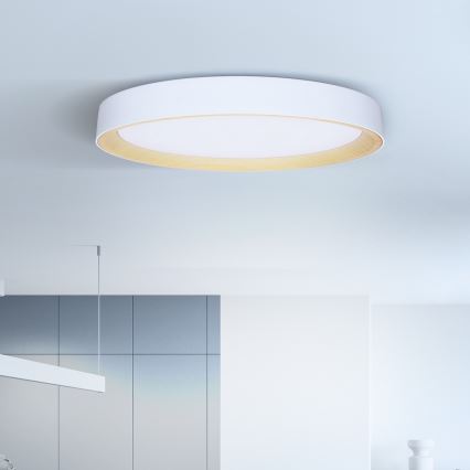 Brilagi - LED dimmelhető mennyezeti lámpatest LARIOS LED/72W/230V 3000-6500K fehér átm. 59 cm + távirányító