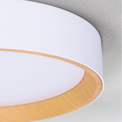 Brilagi - LED dimmelhető mennyezeti lámpatest LARIOS LED/72W/230V 3000-6500K fehér átm. 59 cm + távirányító