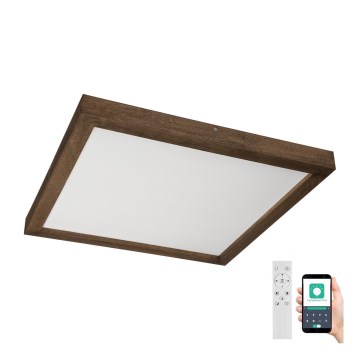 Brilagi - LED állítható fényerejű fürdőszobai mennyezeti lámpa WOODY FRAME LED/50W/230V tölgy dió 60x60 cm 3000-6000K IP44 + távirányító