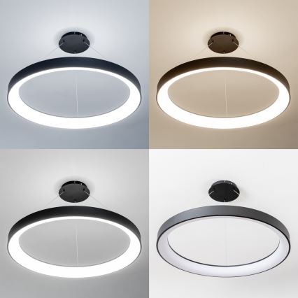 Brilagi - LED dimmelhető kábelre függesztett függőlámpa FALCON II LED/108W/230V 3000-6500K átm. 80 cm fekete + távirányító