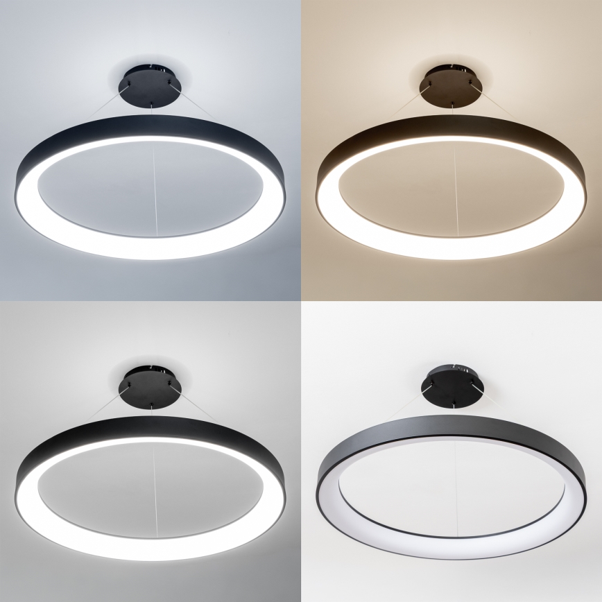 Brilagi - LED dimmelhető kábelre függesztett függőlámpa FALCON II LED/108W/230V 3000-6500K átm. 80 cm fekete + távirányító