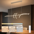 BRILAGI - LED dimmelhető csillár kábelen SIGNATURE LED/50W/230V 3000-6000K 120 cm bézs + távirányító