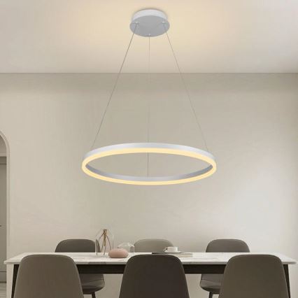 Brilagi - LED Dimmelhető csillár zsinóron CIRCLE LED/42W/230V 3000-6500K + távirányítás