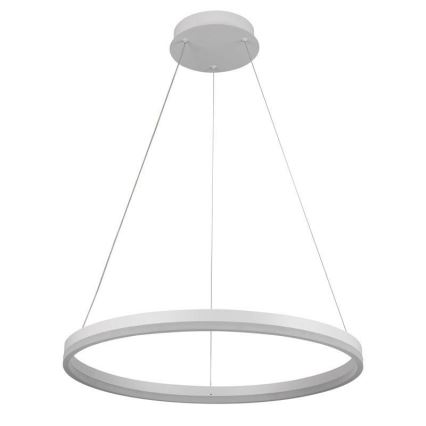 Brilagi - LED Dimmelhető csillár zsinóron CIRCLE LED/42W/230V 3000-6500K + távirányítás