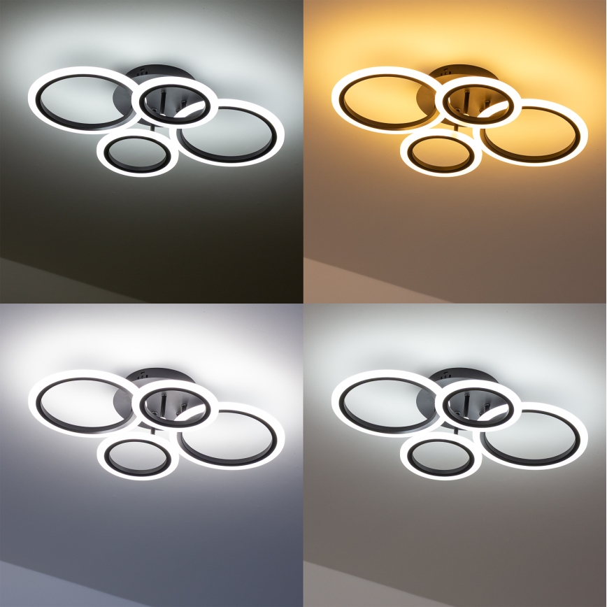 Brilagi - LED Dimmelhető felületre szerelhető csillár ORBITS LED/50W/230V 3000-6500K antracit + távirányítás