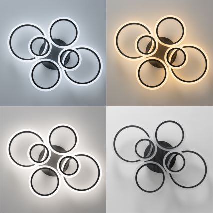 Brilagi - LED Dimmelhető felületre szerelhető csillár ORBITS LED/85W/230V 3000-6500K antracit + távirányítás