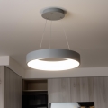 Brilagi - LED dimmelhető függeszték kábelen FALCON LED/80W/230V 3000–6500K átm. 60 cm szürke + távirányító