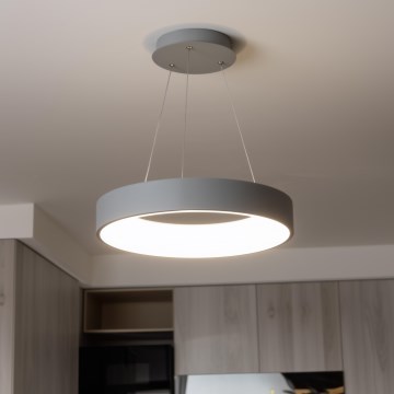Brilagi - LED dimmelhető függeszték kábelen FALCON LED/80W/230V 3000–6500K átm. 60 cm szürke + távirányító