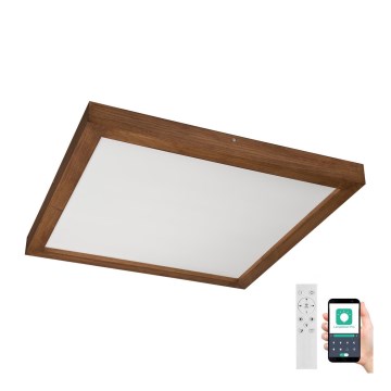 Brilagi - LED dimmelhető fürdőszobai lámpa WOODY FRAME LED/50W/230V tölgy cseresznye 60x60 cm 3000-6000K IP44 + távirányítás