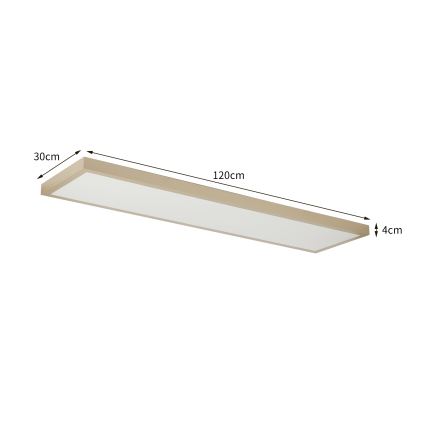 Brilagi - Dimmelhető LED fürdőszobai mennyezeti lámpa FRAME SMART LED/50W/230V 120x30 cm 3000-6000K IP44 bézs + távirányító