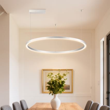 Brilagi - PORTOFINO dimmelhető LED csillár kábelen, LED/60W/230V, 3000–6000K, Ø 80 cm, ezüst, távirányítóval