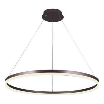 Brilagi - LED dimmelhető kábeles csillár CIRCLE LED/55W/230V 3000–6500K Ø 80 cm barna + távirányító