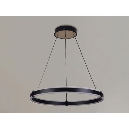 Brilagi - LED fényerőszabályozható, kábelre függeszthető CIRCLE csillár LED/85W/230V 3000-6500K átm. 60 cm fekete/arany + távirányító