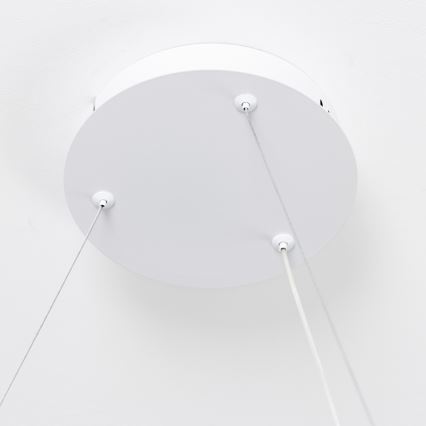 Brilagi - LED fényerőszabályozható kábeles FALCON SLIM függeszték LED/42W/230V 3000-6500K Ø 50 cm fehér + távirányító